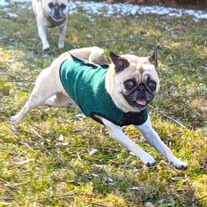 Welcome to my posh page 💄👗👛